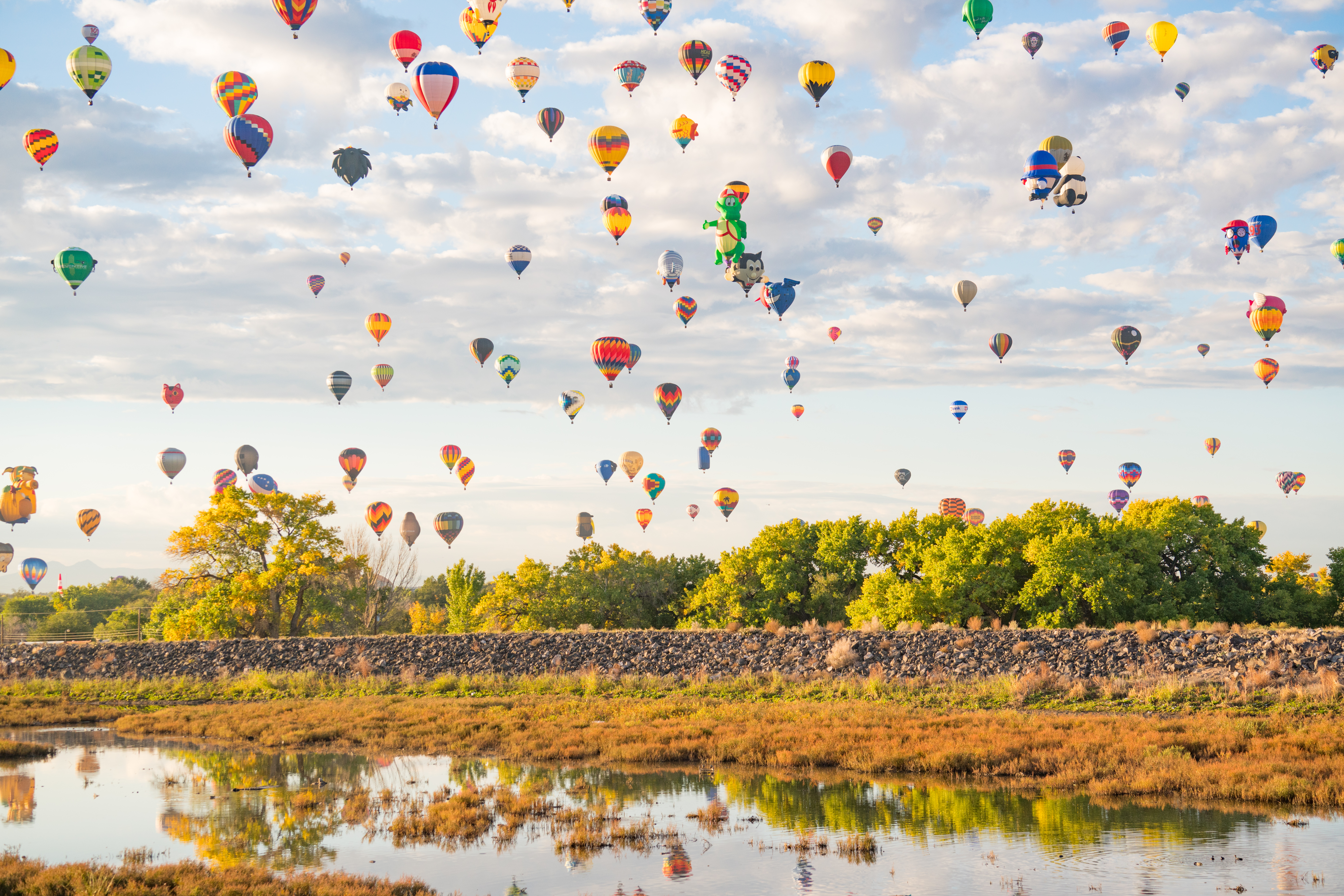 Lift Off: The Albuquerque International Balloon Fiesta